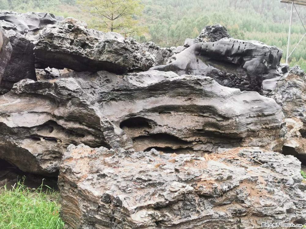 风景石、假山石大量有货,有需要的欢迎联系 - 新手上路 - 随州生活社区 - 随州28生活网 suizhou.28life.com