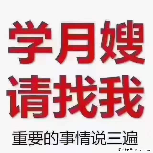 为什么要学习月嫂,育婴师? - 其他广告 - 广告专区 - 随州分类信息 - 随州28生活网 suizhou.28life.com