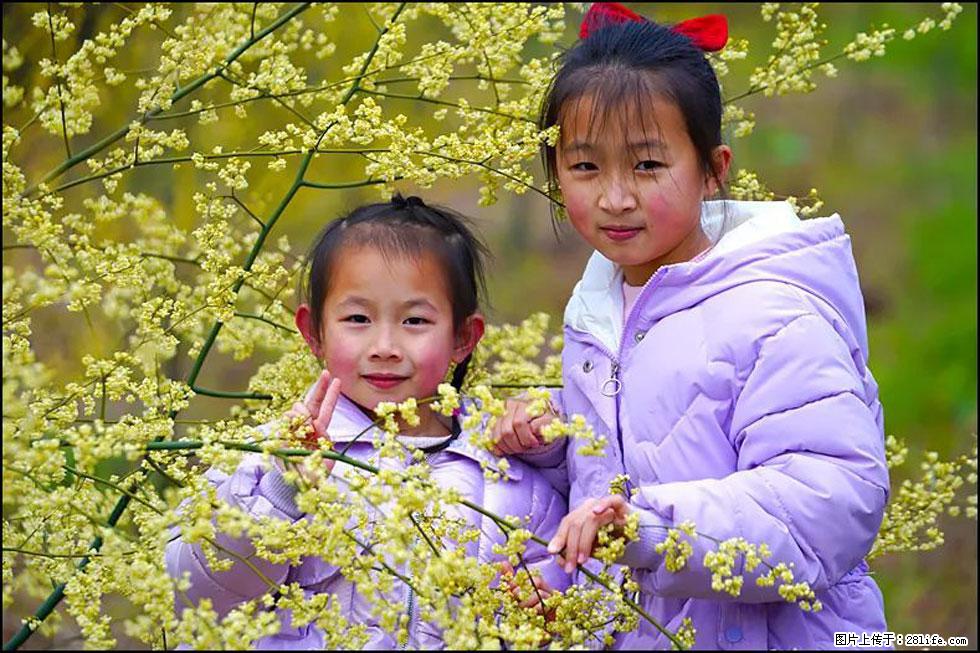 【春天,广西桂林灌阳县向您发出邀请!】米珠山前有片山苍子花在飘香 - 游山玩水 - 随州生活社区 - 随州28生活网 suizhou.28life.com