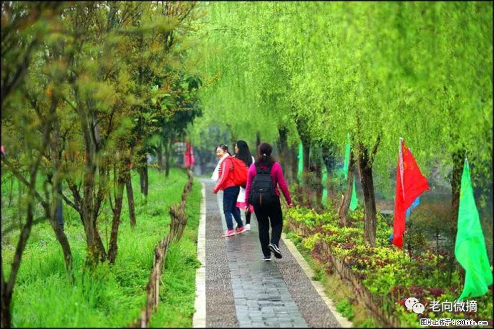 【春天,广西桂林灌阳县向您发出邀请!】江口老街又逢春 - 游山玩水 - 随州生活社区 - 随州28生活网 suizhou.28life.com