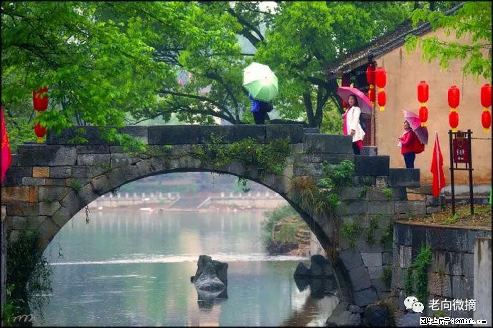 【春天,广西桂林灌阳县向您发出邀请!】江口老街又逢春 - 游山玩水 - 随州生活社区 - 随州28生活网 suizhou.28life.com