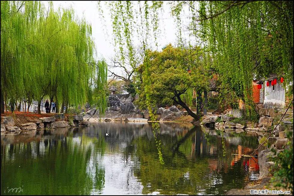 【春天,广西桂林灌阳县向您发出邀请!】江口老街又逢春 - 游山玩水 - 随州生活社区 - 随州28生活网 suizhou.28life.com