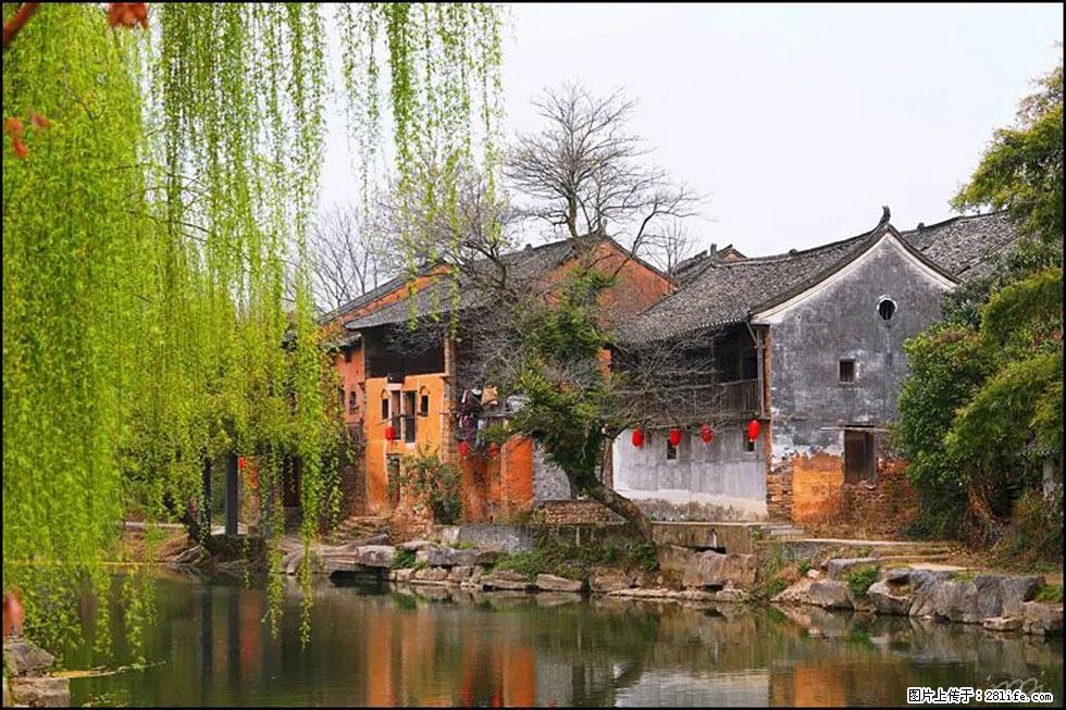 【春天,广西桂林灌阳县向您发出邀请!】江口老街又逢春 - 游山玩水 - 随州生活社区 - 随州28生活网 suizhou.28life.com