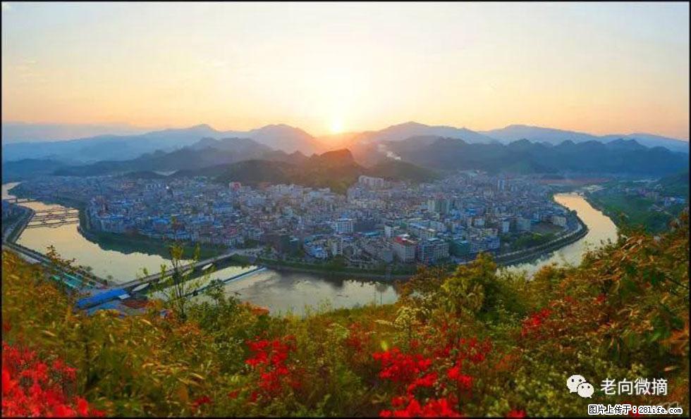 【春天,广西桂林灌阳县向您发出邀请!】登麒麟山,相约映山红 - 游山玩水 - 随州生活社区 - 随州28生活网 suizhou.28life.com