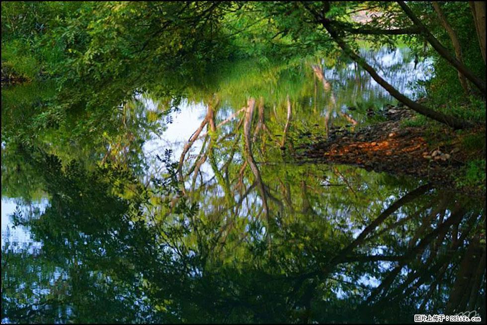 【春天,广西桂林灌阳县向您发出邀请!】熊家寨湿地公园 - 游山玩水 - 随州生活社区 - 随州28生活网 suizhou.28life.com