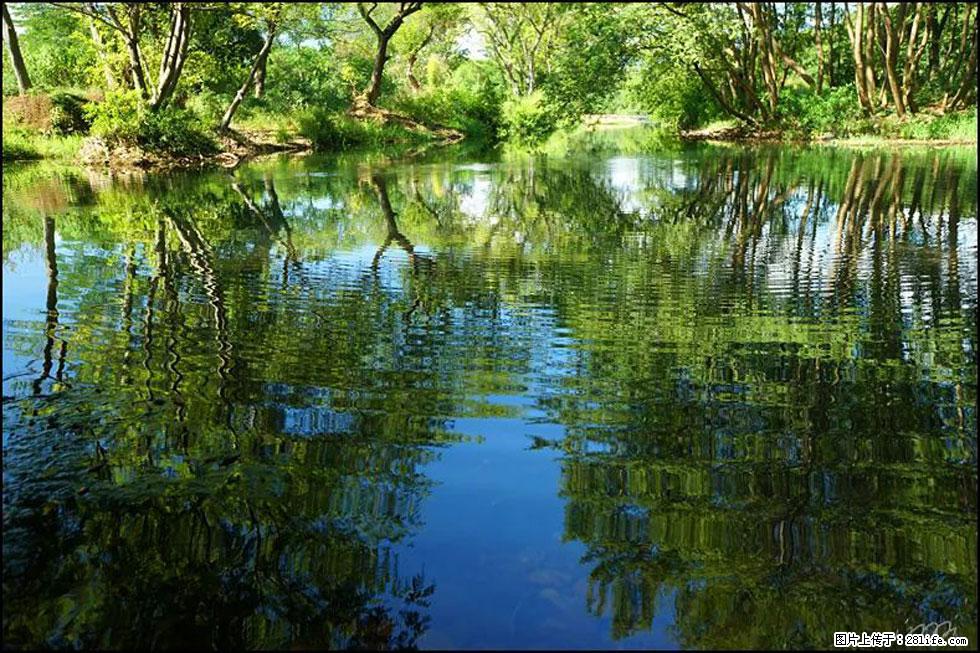 【春天,广西桂林灌阳县向您发出邀请!】熊家寨湿地公园 - 游山玩水 - 随州生活社区 - 随州28生活网 suizhou.28life.com