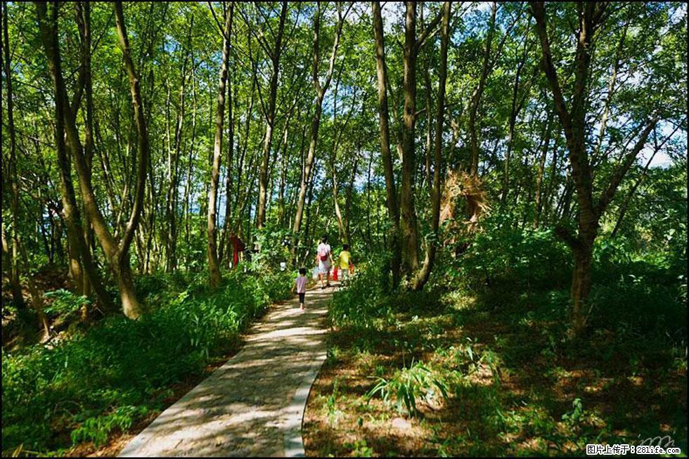 【春天,广西桂林灌阳县向您发出邀请!】熊家寨湿地公园 - 游山玩水 - 随州生活社区 - 随州28生活网 suizhou.28life.com