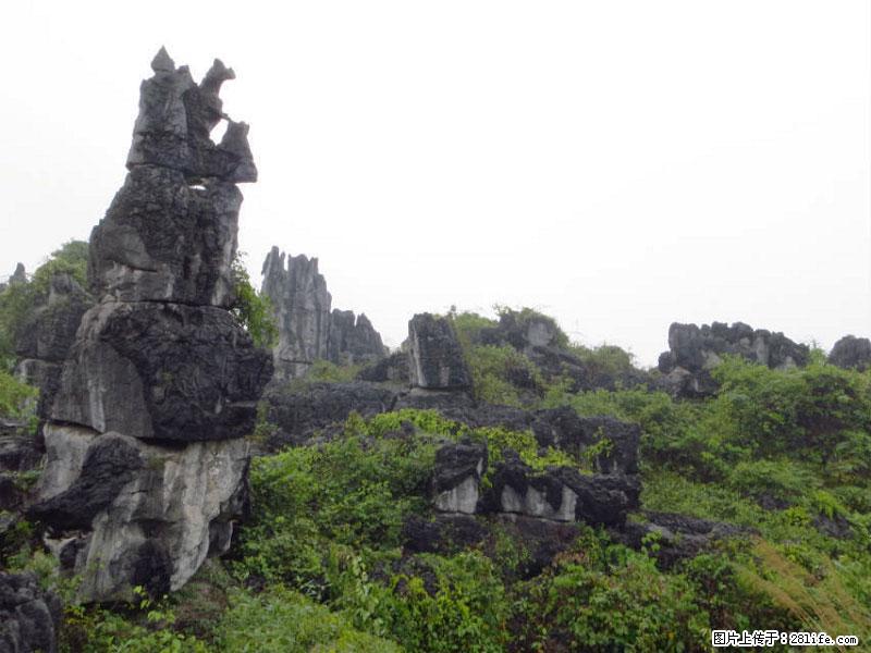 桂林旅游名城景点:灌阳文市石林 - 游山玩水 - 随州生活社区 - 随州28生活网 suizhou.28life.com