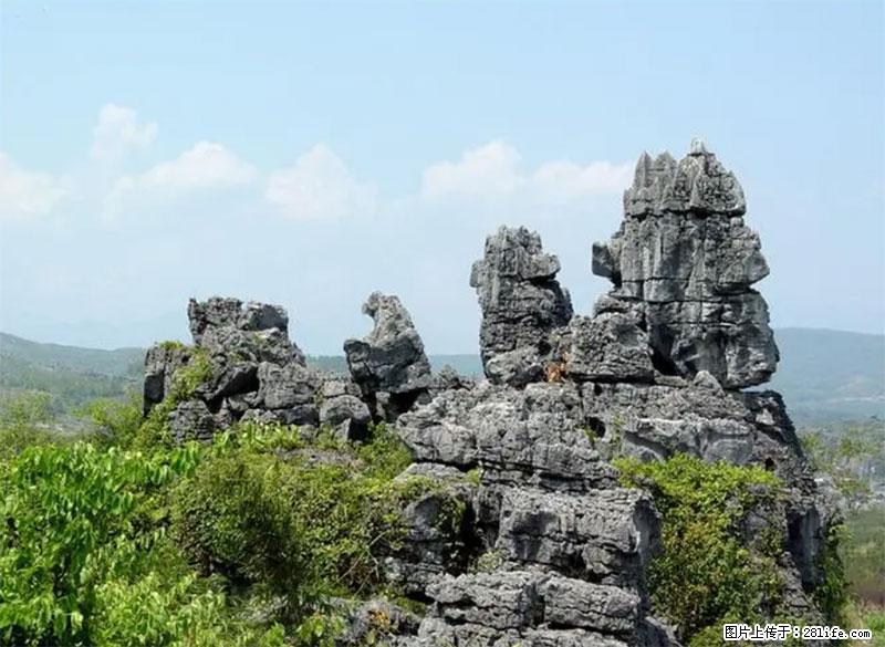 桂林旅游名城景点:灌阳文市石林 - 游山玩水 - 随州生活社区 - 随州28生活网 suizhou.28life.com