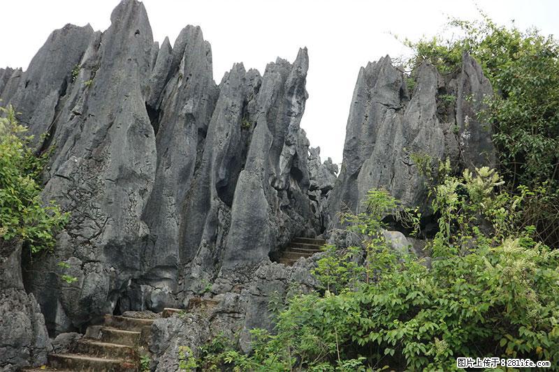 桂林旅游名城景点:灌阳文市石林 - 游山玩水 - 随州生活社区 - 随州28生活网 suizhou.28life.com