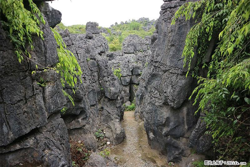 桂林旅游名城景点:灌阳文市石林 - 游山玩水 - 随州生活社区 - 随州28生活网 suizhou.28life.com