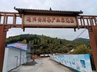 【灌阳县油茶产业示范区】一个有着充实的精神生活的人,对待身外之物自会有一种淡泊的态度 - 随州28生活网 suizhou.28life.com