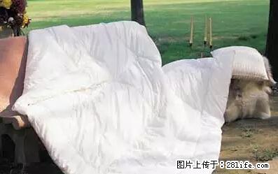 被子有异味?只要这样做,比晒太阳还强100倍! - 家居生活 - 随州生活社区 - 随州28生活网 suizhou.28life.com