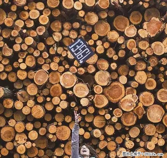 辞掉工作周游世界?现在他们在洗厕所…… - 游山玩水 - 随州生活社区 - 随州28生活网 suizhou.28life.com