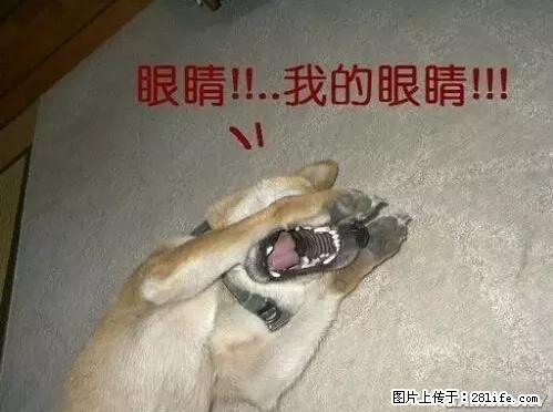 笑癫了!一女的怀孕三年未生,他终于忍不住了... - 娱乐八卦 - 随州生活社区 - 随州28生活网 suizhou.28life.com