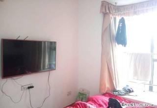 齐星花园电梯房，一室一厨一卫，精装修，家电齐，拎包入住 - 随州28生活网 suizhou.28life.com