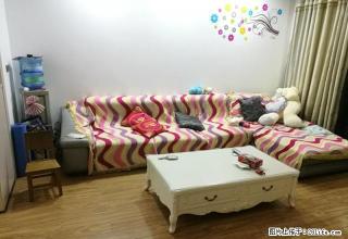 时代广场附近 精装修 两室 带全套家电,拎包入住 - 随州28生活网 suizhou.28life.com