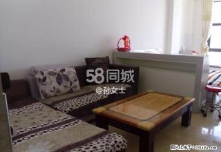 鹿鹤转盘克拉公馆 1室1厅1卫 - 随州28生活网 suizhou.28life.com