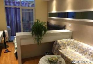 维也纳，精装，一室一厅，拎包入住 - 随州28生活网 suizhou.28life.com