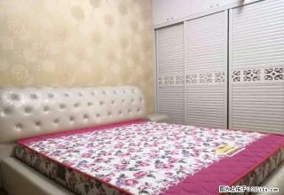 市一中附近翰林苑精装2室,全新家电家具未入住过发租,拎包入住 - 随州28生活网 suizhou.28life.com