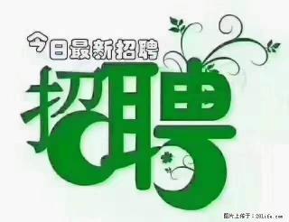 【招聘摄像师】待遇:试用期6000元/月,转正7000元/月+五险一金+餐补+节日福利+奖金 - 随州28生活网 suizhou.28life.com