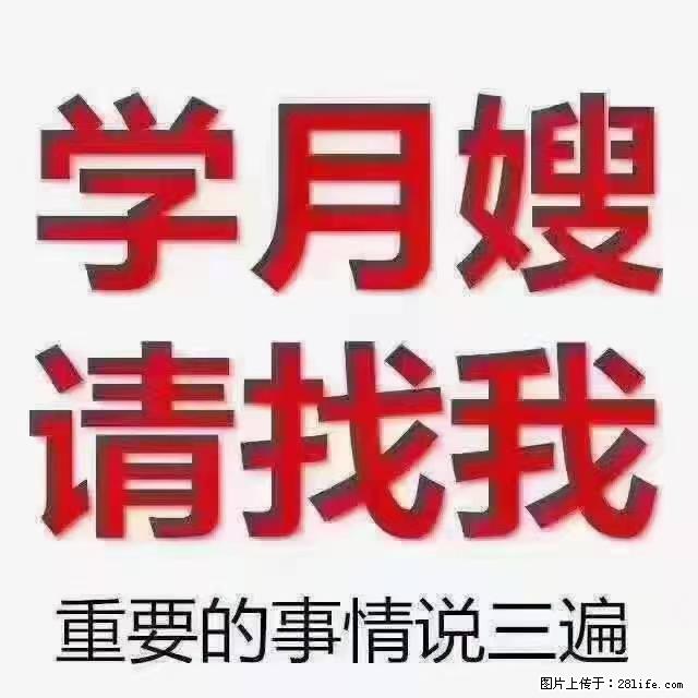 【招聘】月嫂,上海徐汇区 - 职场交流 - 随州生活社区 - 随州28生活网 suizhou.28life.com