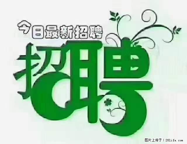 上海隔离酒店招人:55岁以下 男女不限 - 职场交流 - 随州生活社区 - 随州28生活网 suizhou.28life.com