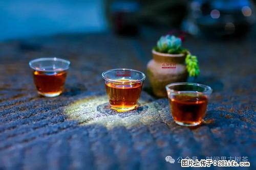 时间果百年古树2025年春红茶 - 购物交流 - 随州生活社区 - 随州28生活网 suizhou.28life.com