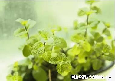 晕车、脚气、牙齿变黄、皮肤粗糙?学会这些三分钟搞定! - 随州生活资讯 - 随州28生活网 suizhou.28life.com