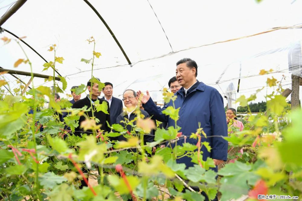 习近平赴广西考察调研 - 随州生活资讯 - 随州28生活网 suizhou.28life.com