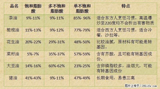 揭秘茶油的5大核心营养成分!被称为人体健康的“守护盾”! - 随州生活资讯 - 随州28生活网 suizhou.28life.com