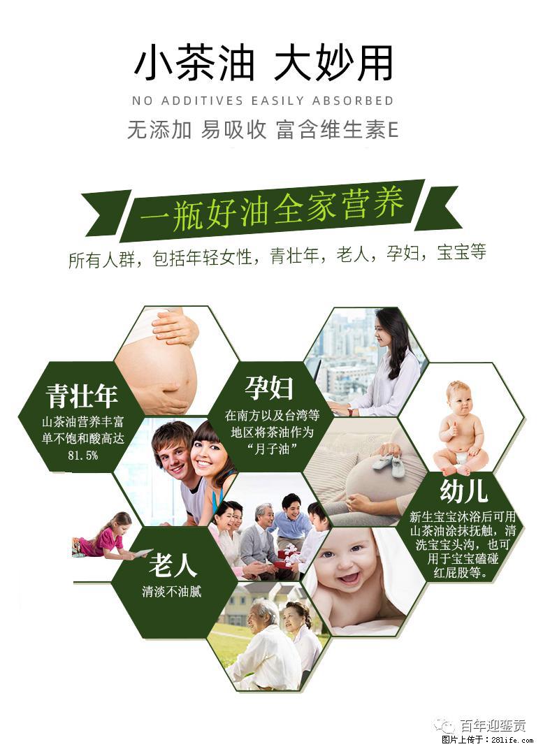 世界没有真相,只有认知,最好的食用油是中国的山茶油! - 随州生活资讯 - 随州28生活网 suizhou.28life.com