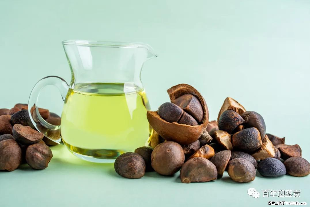 世界没有真相，只有认知，最好的食用油是中国的山茶油！ - 随州生活资讯 - 随州28生活网 suizhou.28life.com