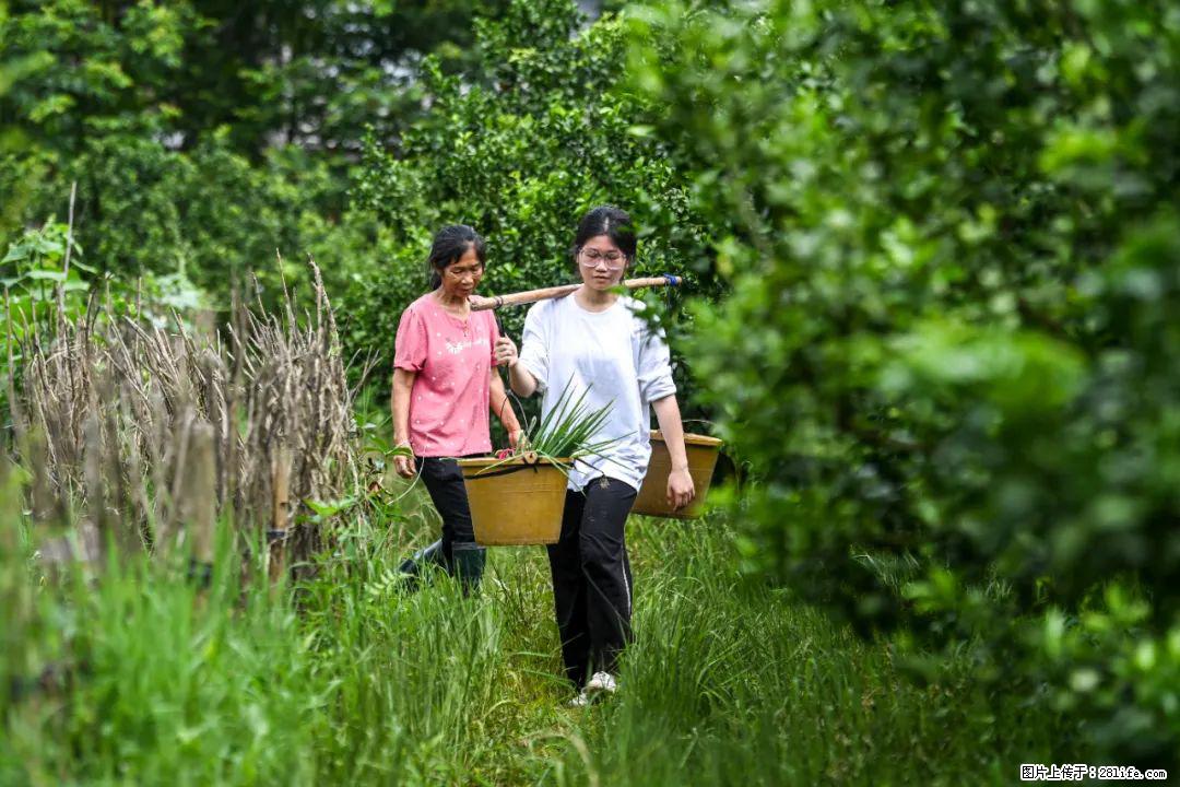全网追的“扁担女孩”，找了一份暑假工，时薪12元 - 随州生活资讯 - 随州28生活网 suizhou.28life.com