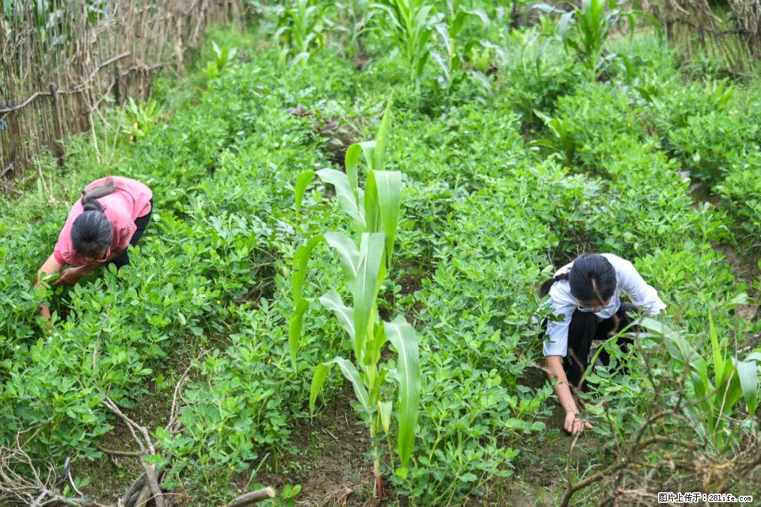 全网追的“扁担女孩”，找了一份暑假工，时薪12元 - 随州生活资讯 - 随州28生活网 suizhou.28life.com