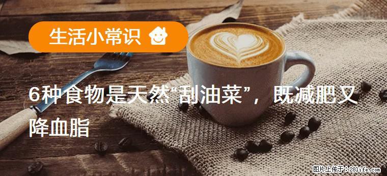 【生活小常识】6种食物是天然“刮油菜”,既减肥又降血脂 - 随州生活资讯 - 随州28生活网 suizhou.28life.com