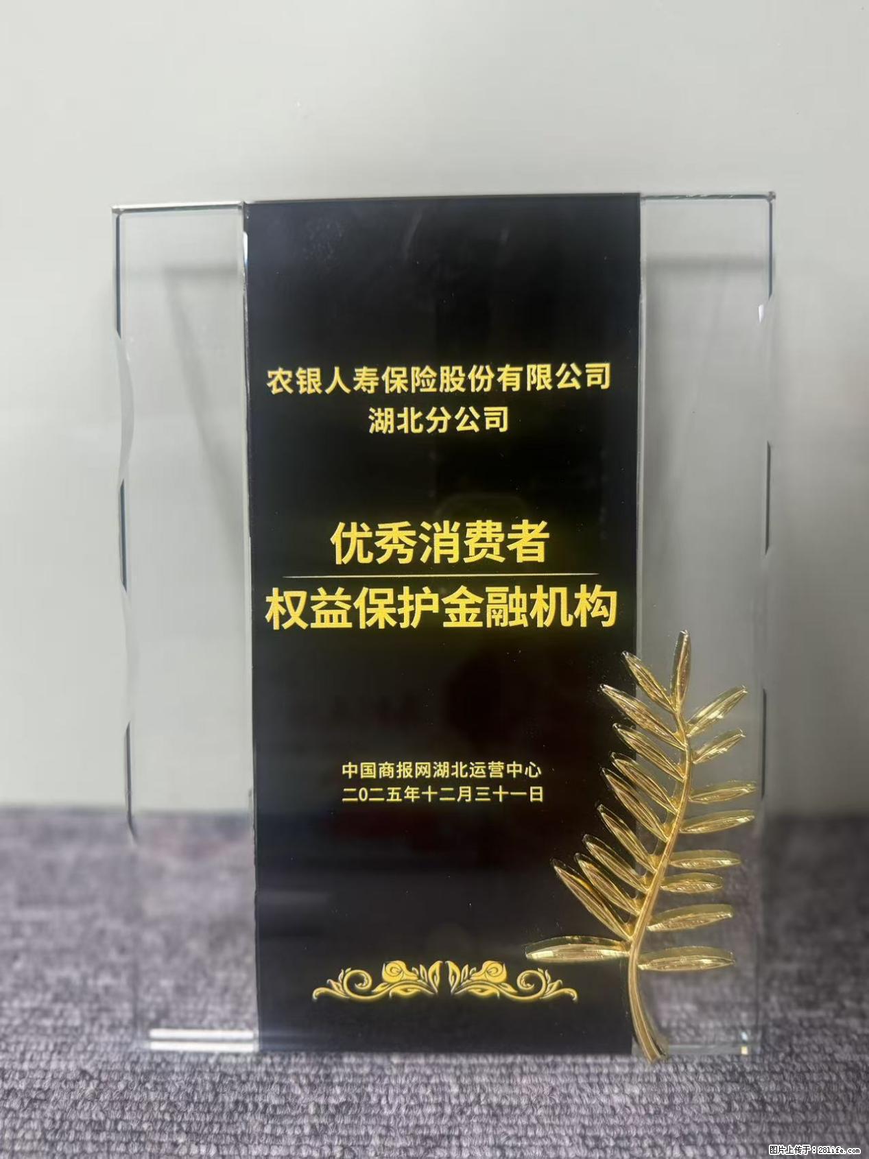 农银人寿湖北分公司荣获中国商报网颁发2025年度“优秀消费者权益保护金融机构” - 随州生活资讯 - 随州28生活网 suizhou.28life.com