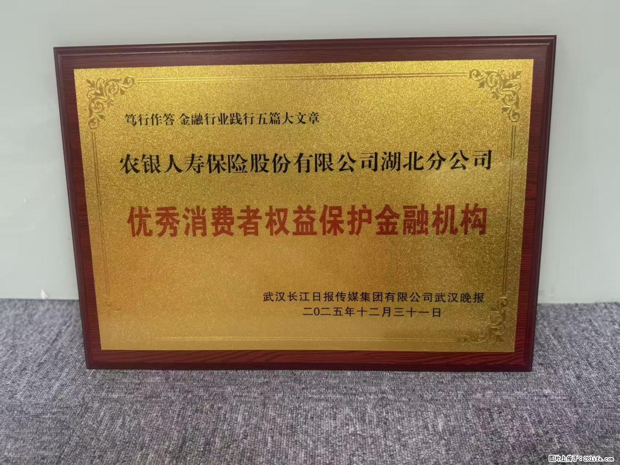 农银人寿湖北分公司荣膺“优秀保险客户服务奖”和“优秀消费者权益保护金融机构”两个奖项 - 随州生活资讯 - 随州28生活网 suizhou.28life.com