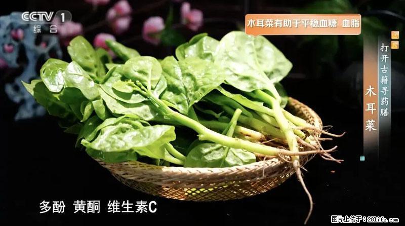 比牛奶补钙还厉害!凉血解毒、稳血糖...这菜冬天必吃,很多人却当草 - 随州生活资讯 - 随州28生活网 suizhou.28life.com