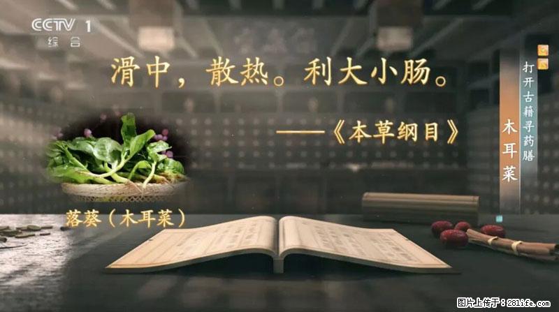 比牛奶补钙还厉害!凉血解毒、稳血糖...这菜冬天必吃,很多人却当草 - 随州生活资讯 - 随州28生活网 suizhou.28life.com