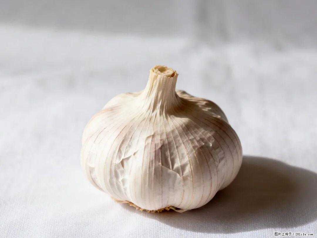 关于大蒜,除了“天然抗生素”,这4个谣言更该警惕! - 随州生活资讯 - 随州28生活网 suizhou.28life.com