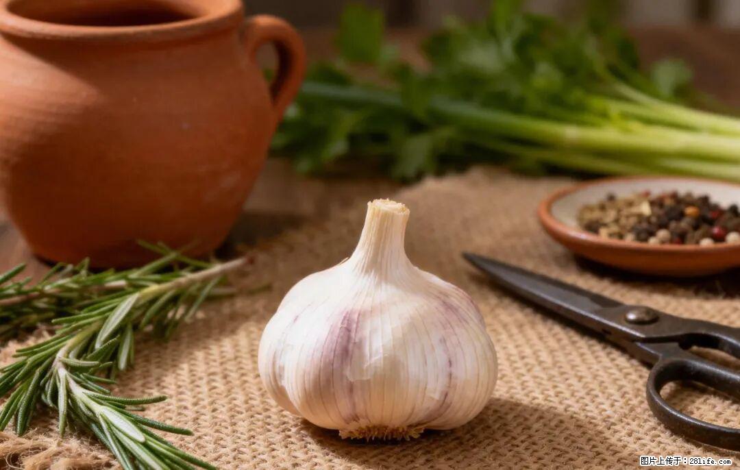 关于大蒜,除了“天然抗生素”,这4个谣言更该警惕! - 随州生活资讯 - 随州28生活网 suizhou.28life.com