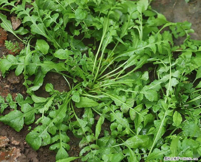 这些蔬菜是“天然钙片”，这6种被医生重点推荐 - 随州生活资讯 - 随州28生活网 suizhou.28life.com