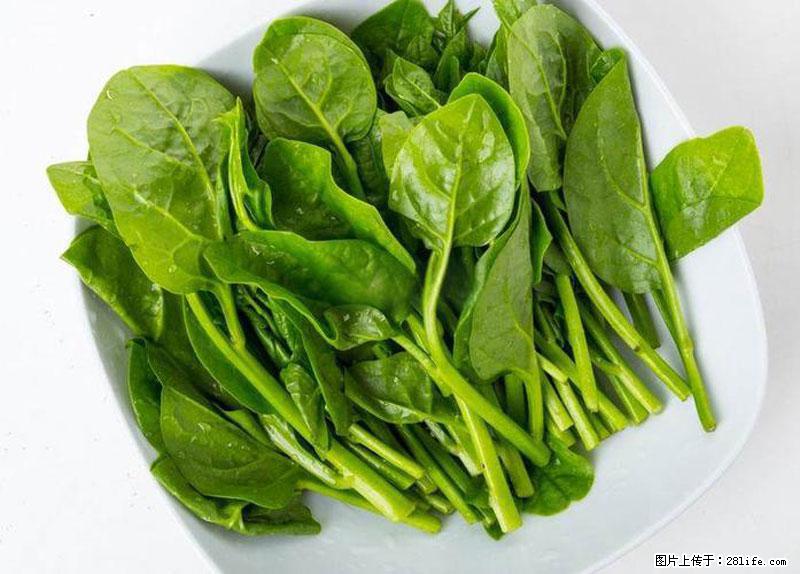这些蔬菜是“天然钙片”，这6种被医生重点推荐 - 随州生活资讯 - 随州28生活网 suizhou.28life.com